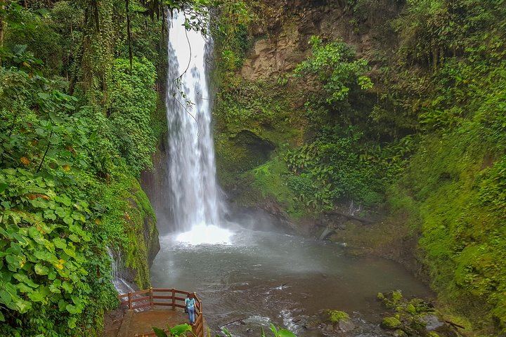Super Combo Tour: Waterfalls Gardens + Coffee Tour + Poás Volcano