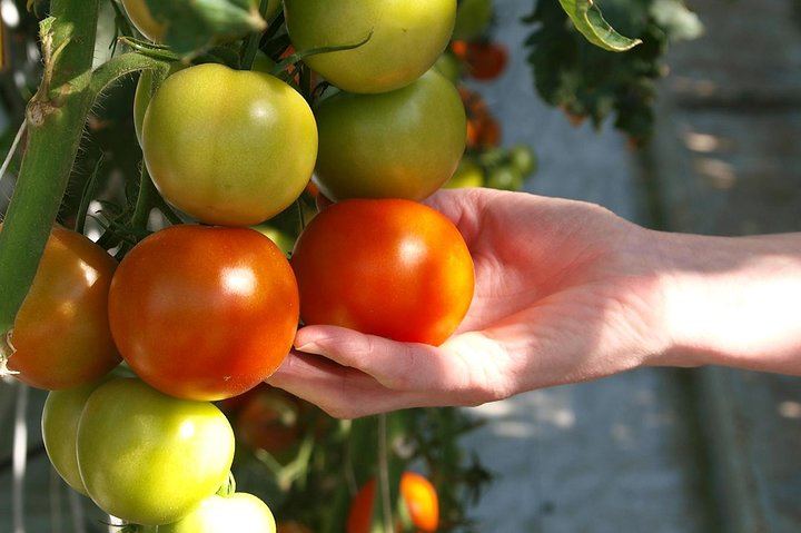 Sustainable farming