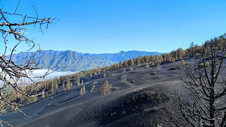 Tajogaite Volcano Hike