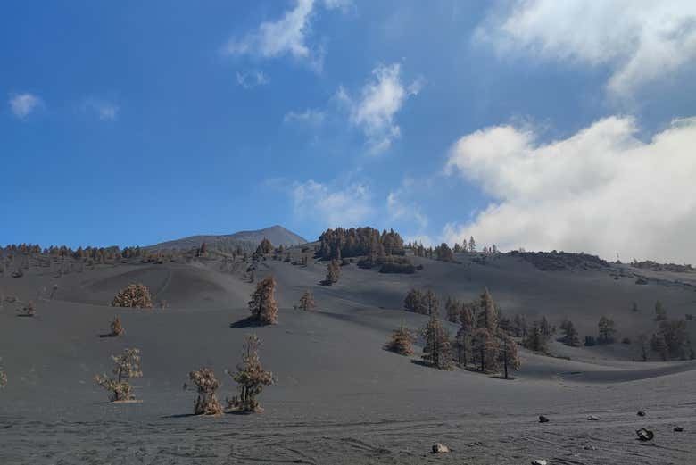 Tajogaite Volcano Hike