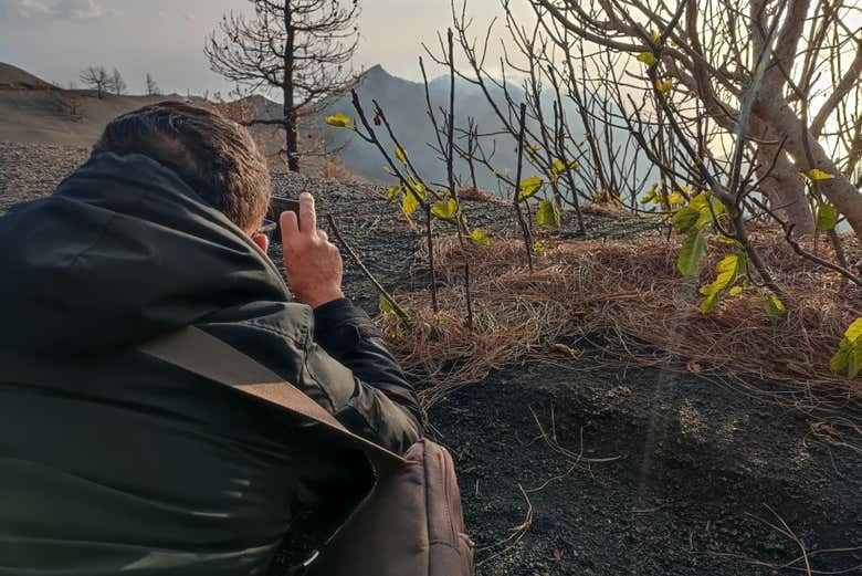 Tajogaite Volcano Hike