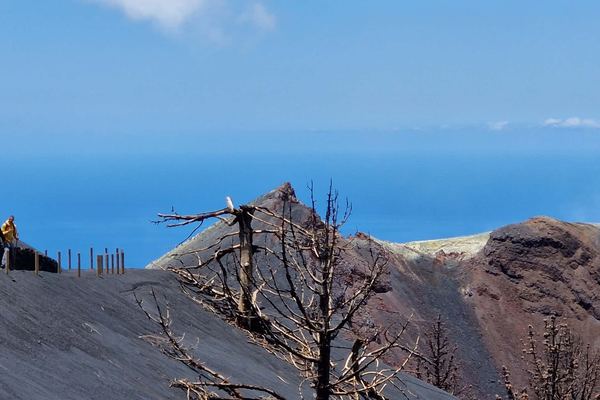 Tajogaite on Foot: 300 Metres from the 2021 Crater