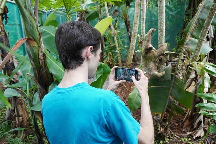 Taking your own pictures face to face on the wildlife
