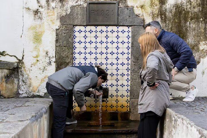 Taste Spring Water
