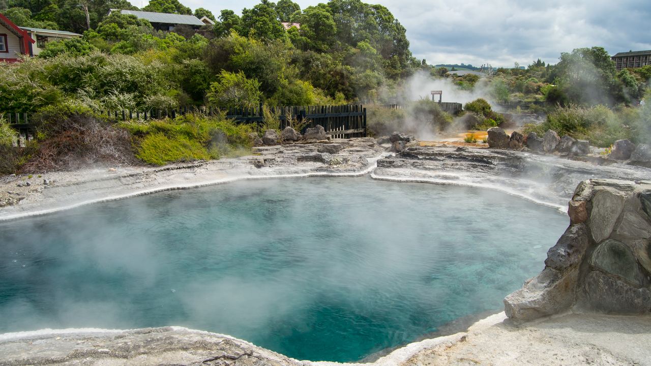 Geyser erupting at Te Puia in the Whakarewarewa geothermal valley, Rotorua, New Zealand