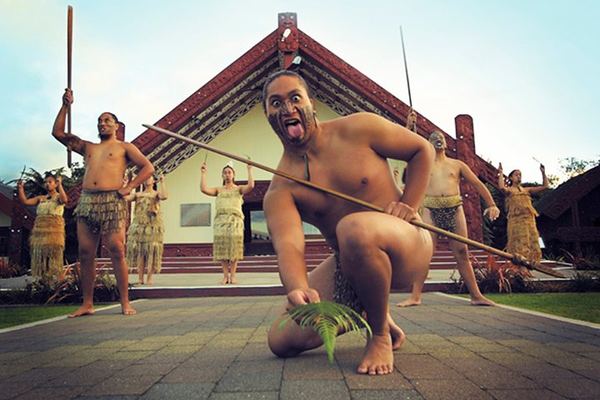 Rotorua and Te Puia in a Day: the Small-Vehicle Route the Big Coaches Miss