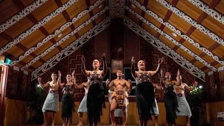 Te Puia Tour, Haka Show & Lunch Small Group Tour from Auckland
