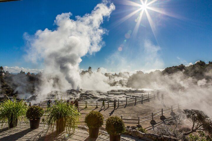 Te Puia Tour, Haka Show & Lunch Small Group Tour from Auckland