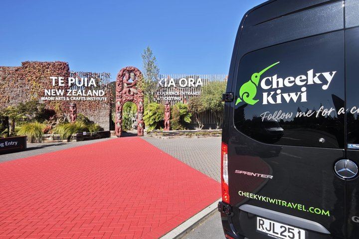 Rotorua Highlights Tour: Waiotapu, Te Puia & Lunch from Auckland