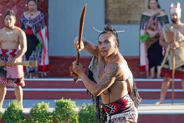 A Whole Day at Te Puia: Hāngī Buffet, Haka and Time to Actually Stay