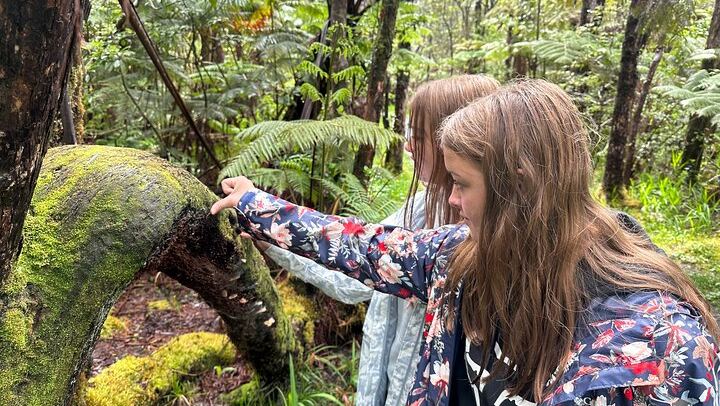 Teenagers love feeling rare plants.