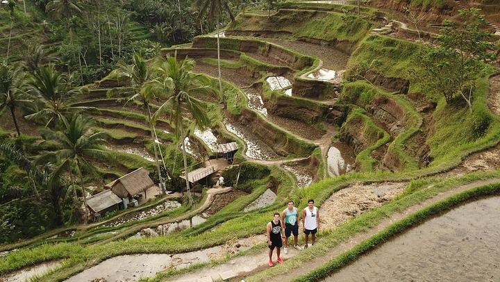 Tegalalang Rice Terrace