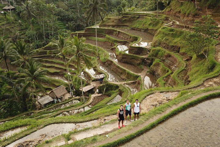 Tegalalang Rice Terrace