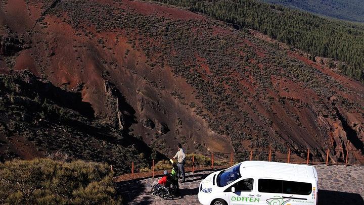 Teide National Park and North Tenerife Private Tour