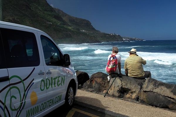Teide and the North for Cruise and City Guests, Max 15