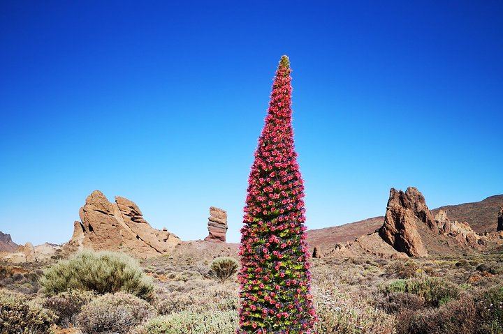 Teide National Park for smaller groups