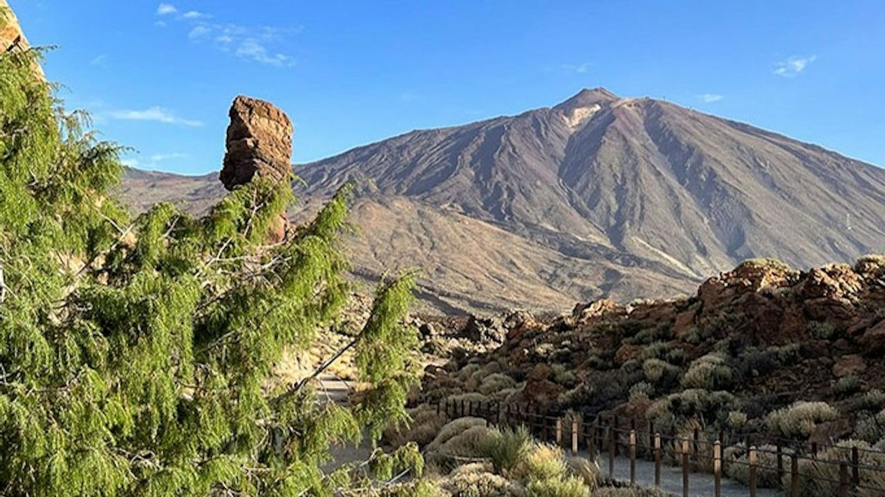 Teide in Thirty Minutes, and the 800-Year Drago at Icod