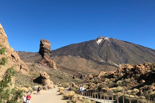 Teide in Thirty Minutes, and the 800-Year Drago at Icod