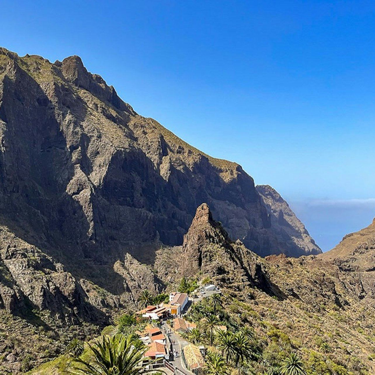 Teide in Thirty Minutes, and the 800-Year Drago at Icod