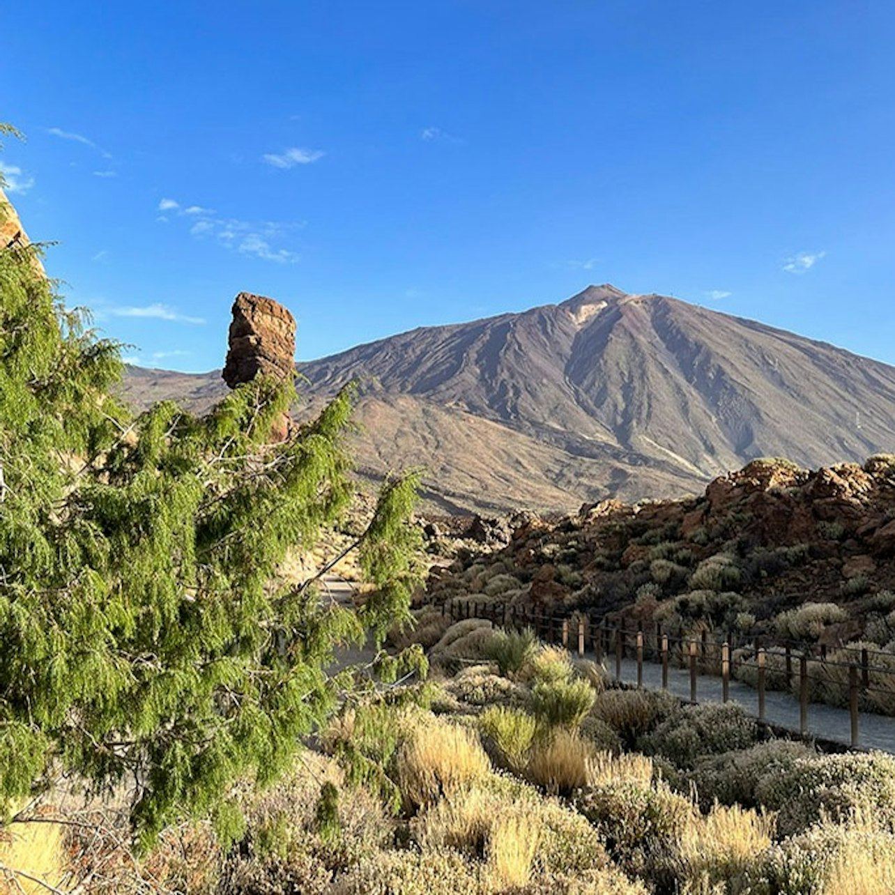 Teide in Thirty Minutes, and the 800-Year Drago at Icod