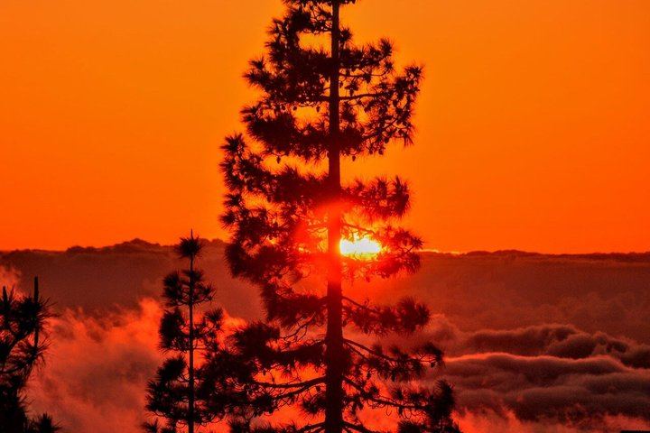Teide National Park, Sunset & Stargazing Coach Tour - no Dinner