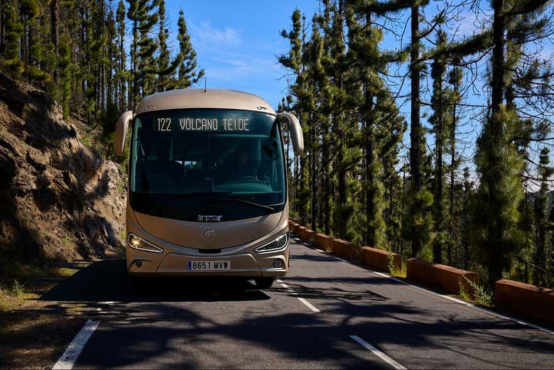Teide Stargazing Tour from North Tenerife