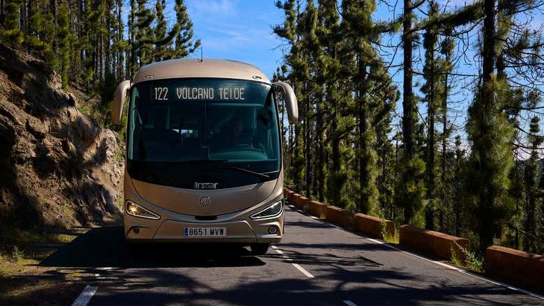 Teide Stargazing Tour from North Tenerife