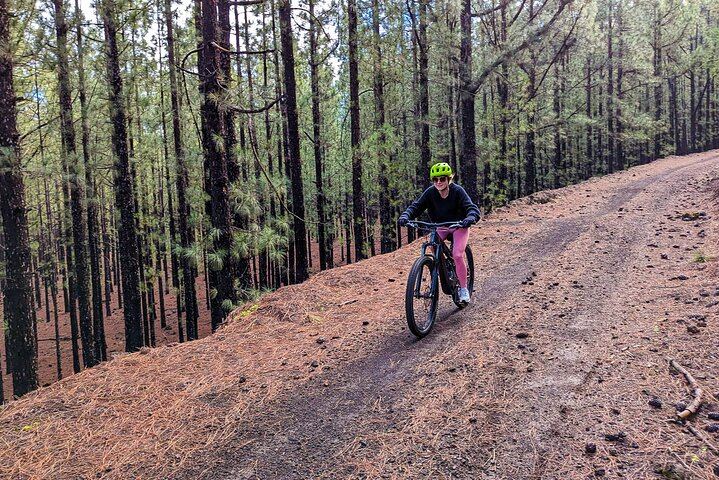 Tenerife: Teide National Park Ebike Adventure