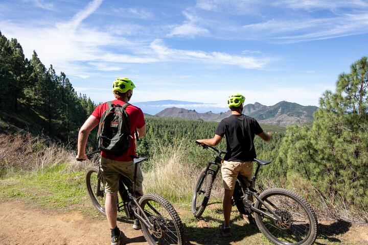 Tenerife: Teide National Park Ebike Adventure