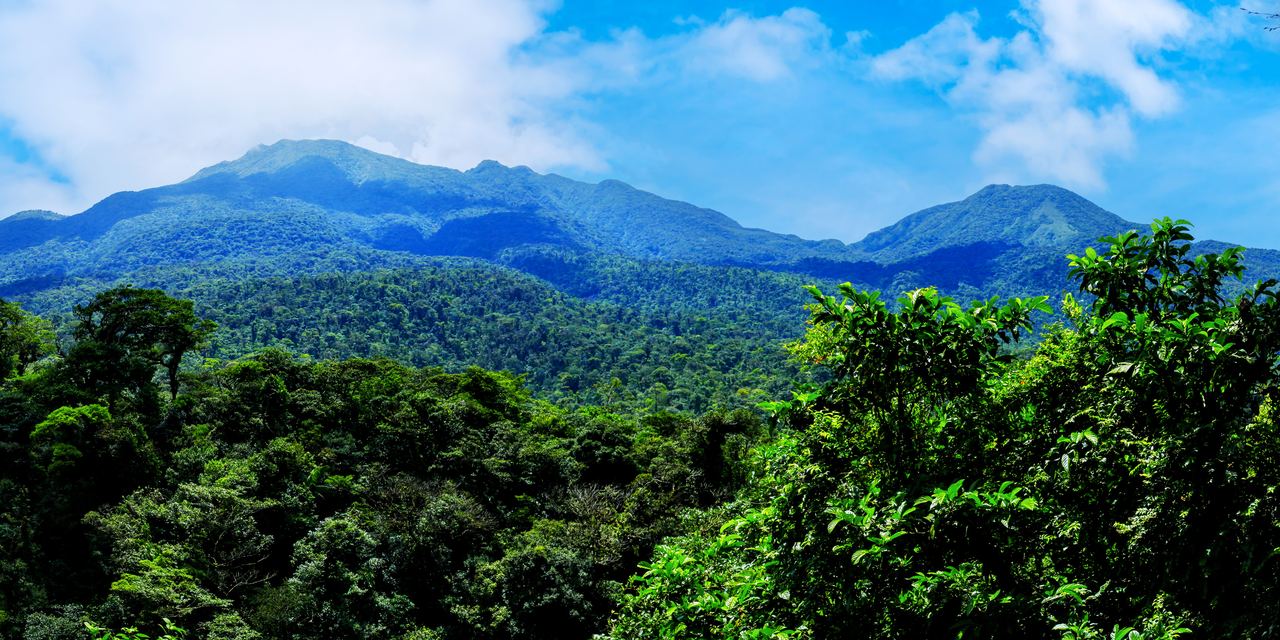 The forested cone of Tenorio Volcano in northern Costa Rica