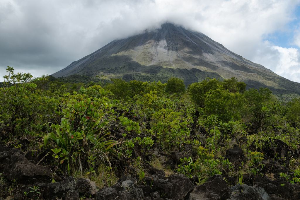 The dark blocky lava field left on the western flank of Arenal by the 1968 eruption, now colonised by scrub and young trees