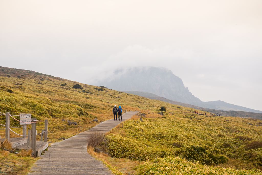 Walkers on a raised boardwalk trail crossing the open highland scrub of Mount Hallasan, with the summit dome in cloud ahead