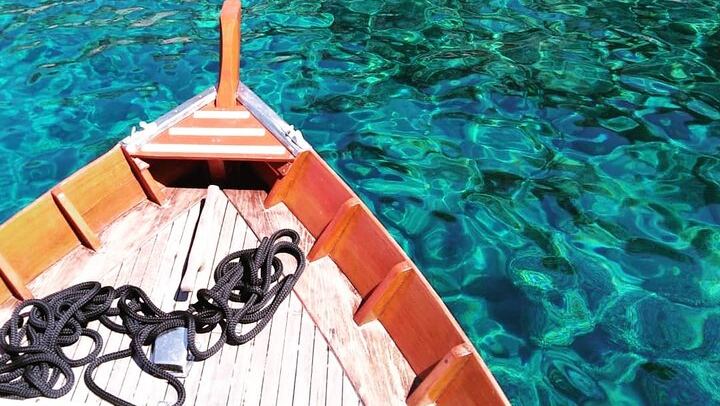 The colors of our wonderful sea