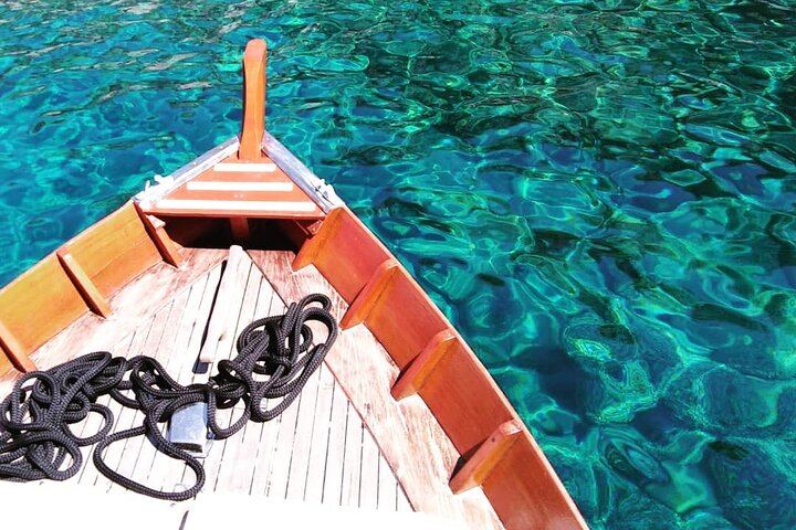 The colors of our wonderful sea
