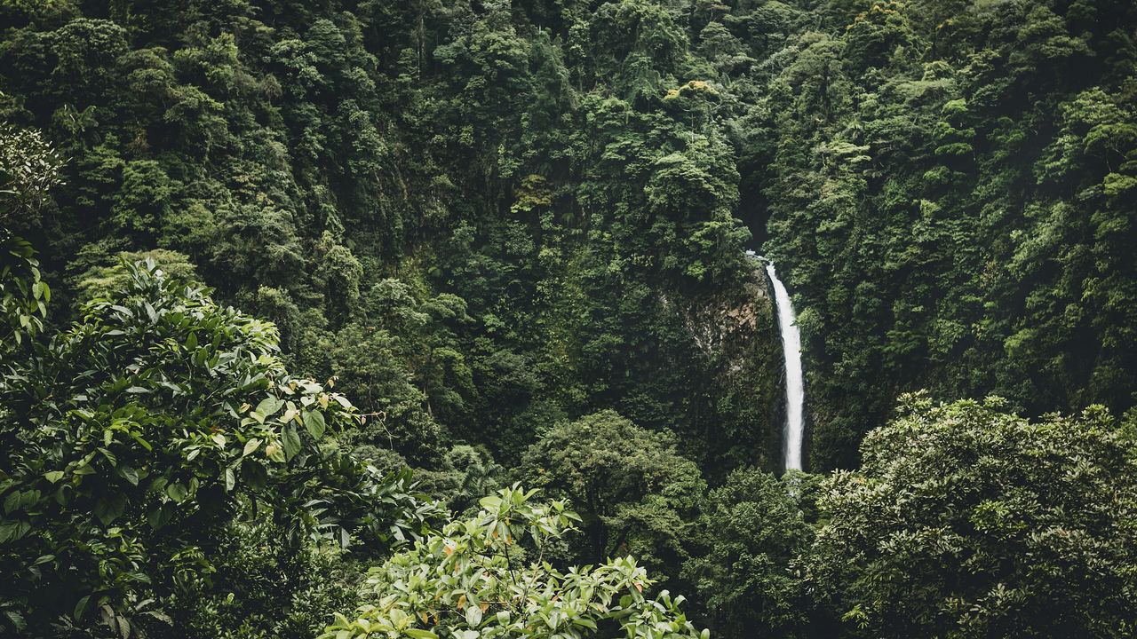 The La Fortuna waterfall dropping about 70 metres into its pool at the bottom of a forested canyon, Costa Rica