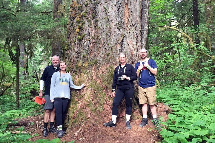 The Mt St Helens Adventure Tour from Portland