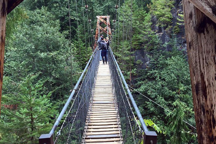 The Mt St Helens Adventure Tour from Portland