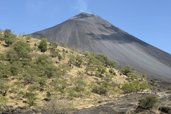 Pacaya Volcano