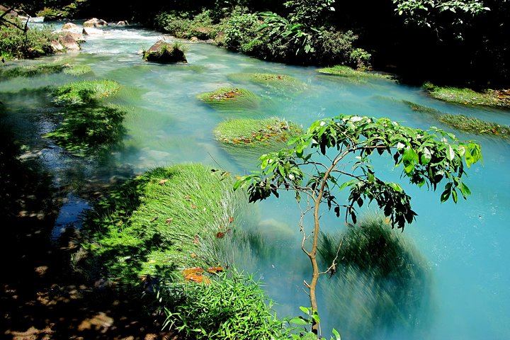 The river