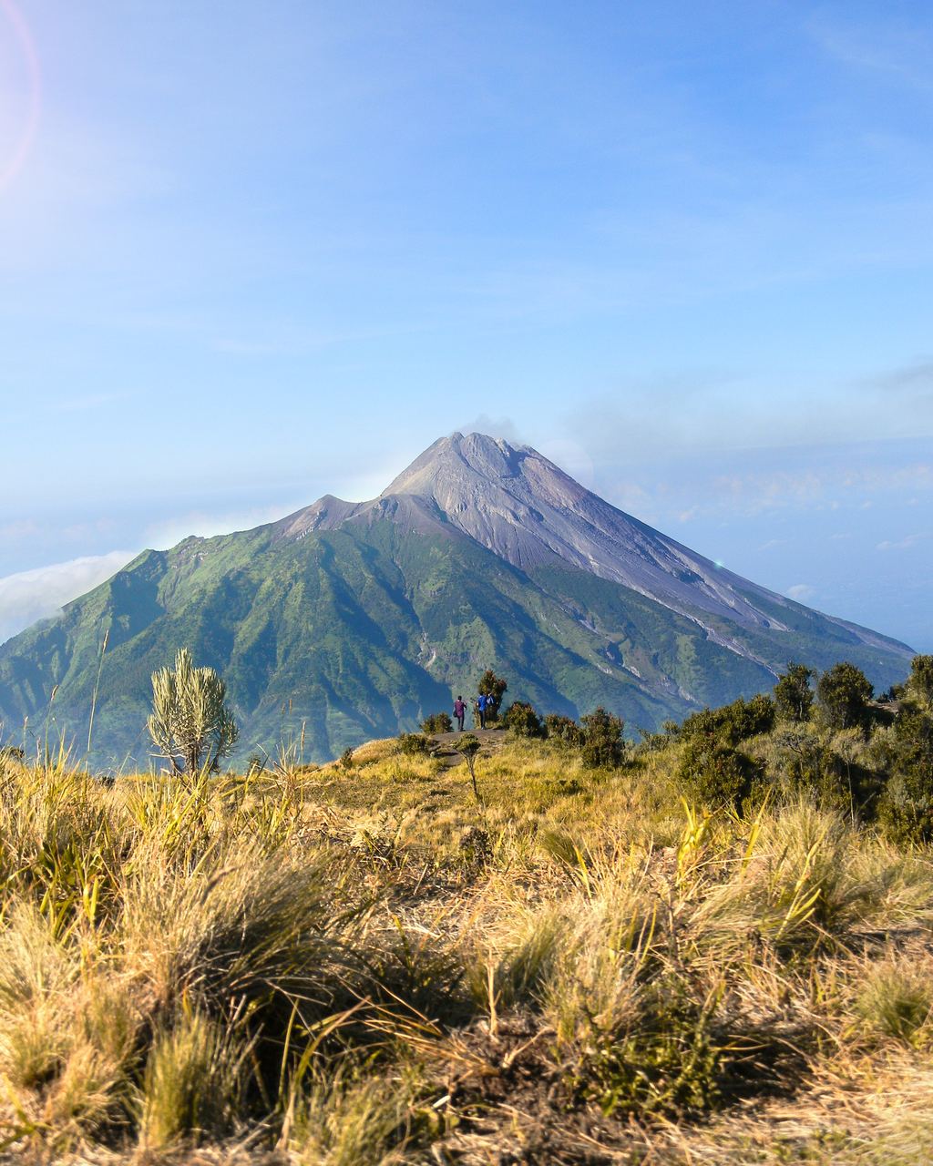 The bare summit dome of Mount Merapi above the treeline, Central Java, Indonesia
