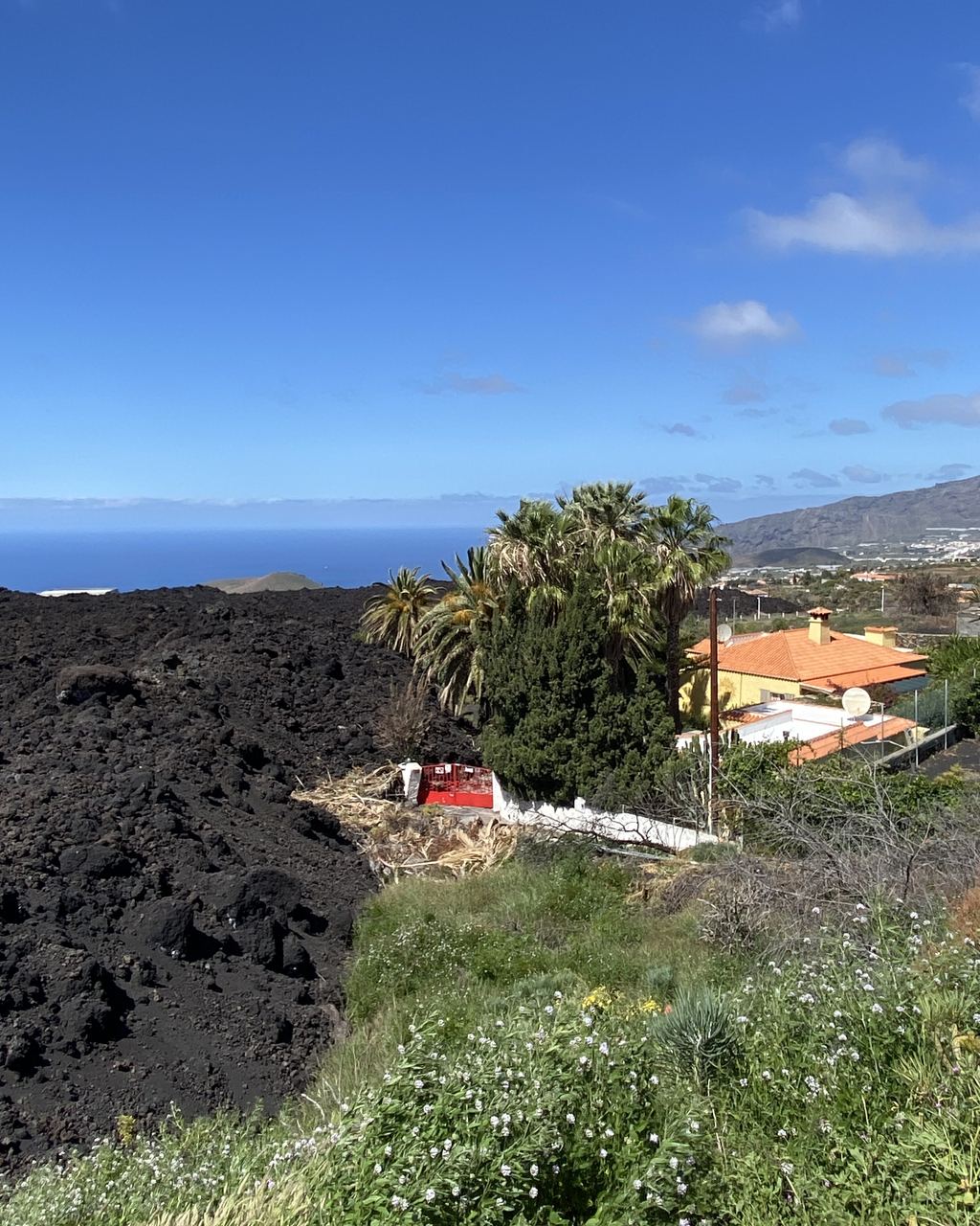 The black cone of the Tajogaite volcano rising above the lava field it built on the western flank of La Palma