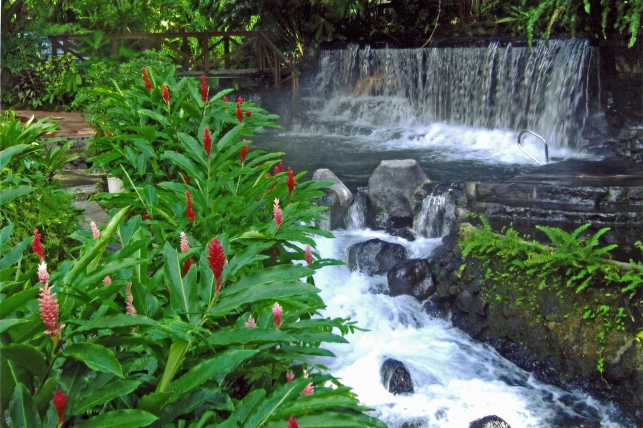 Hot water running through planted gardens at the Tabacón thermal springs near La Fortuna, Costa Rica