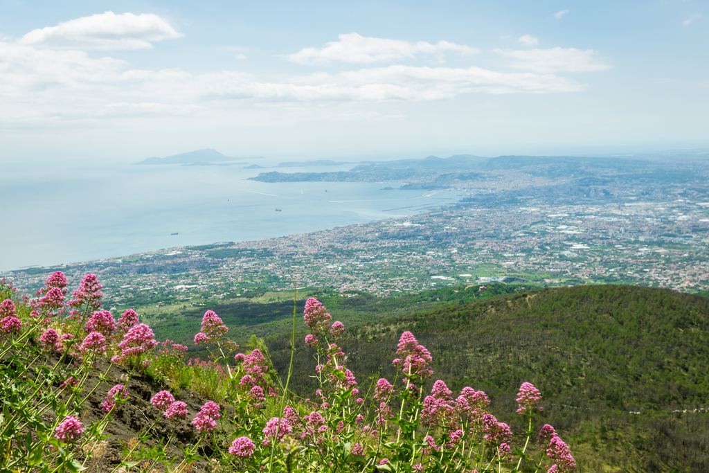 The rim of the Vesuvius crater with the sea and the coastal towns below