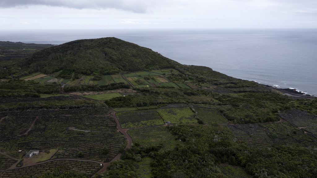 Aerial view of the walled vineyard plots of Pico Island in the Azores, each enclosed by low black basalt walls
