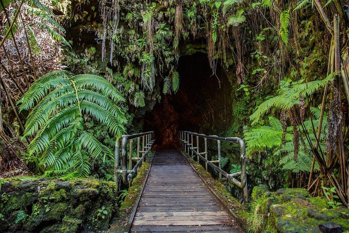 Thurston Lava Tube
