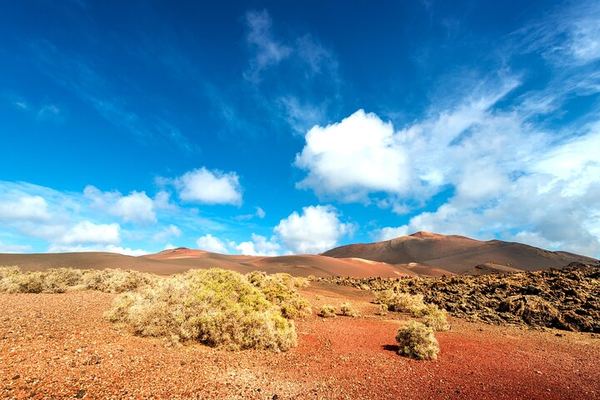 Timanfaya Half Day, No Shop Stops: Hilario, Volcano Route, El Golfo