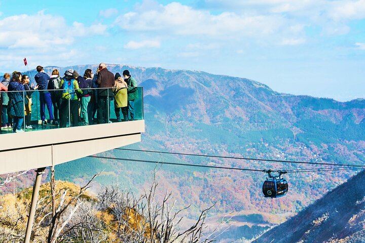 Tokyo: Mt. Fuji Cruise & Hakone Ropeway Day Trip by Bus