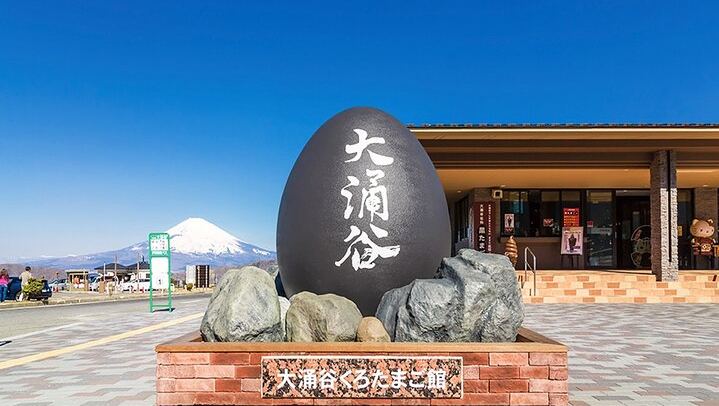 Tokyo: Mt. Fuji Hakone tour, Cable car&Optional Lake Ashi Cruise