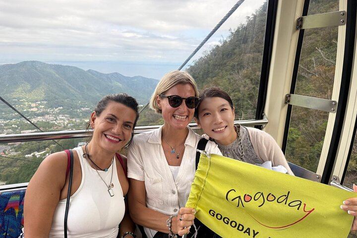 Tokyo: Mt. Fuji Hakone tour, Cable car&Optional Lake Ashi Cruise
