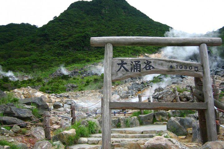 Tokyo: Mt. Fuji Hakone tour, Cable car&Optional Lake Ashi Cruise